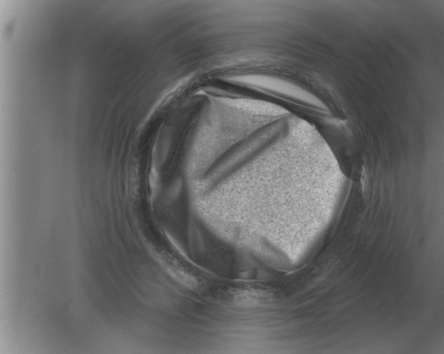 X0000080180400200612302250