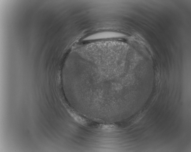 X0000080180401200612302250