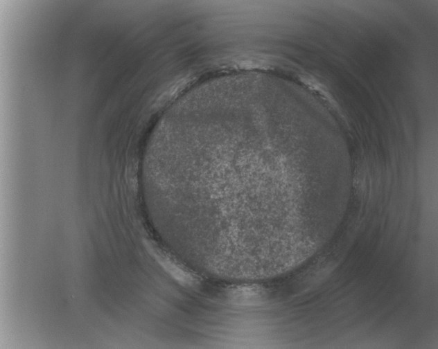 X0000080180402200612302250