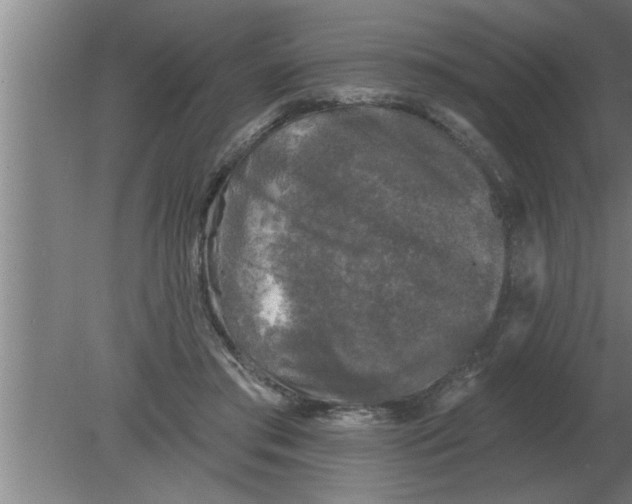 X0000080180405200612302250