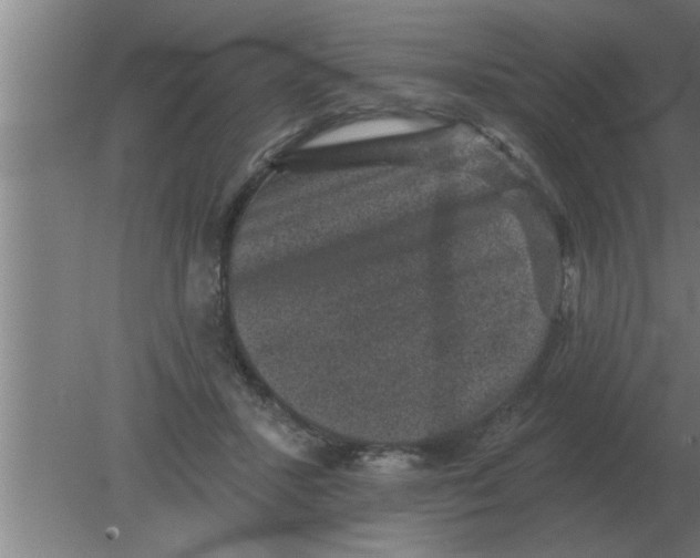 X0000080180407200612302250