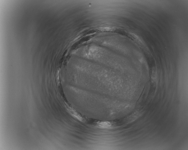 X0000080180409200612302250