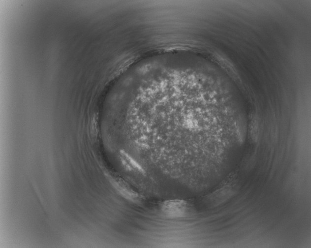 X0000080180410200612302250