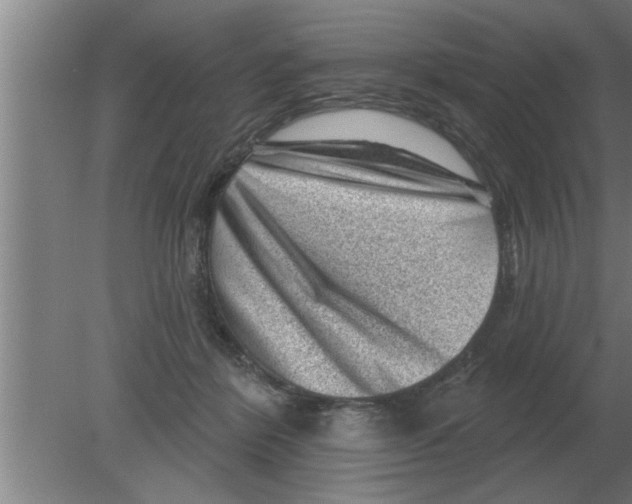 X0000080180412200612302250