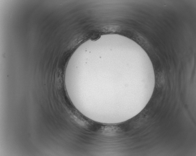 X0000080180414200612302250