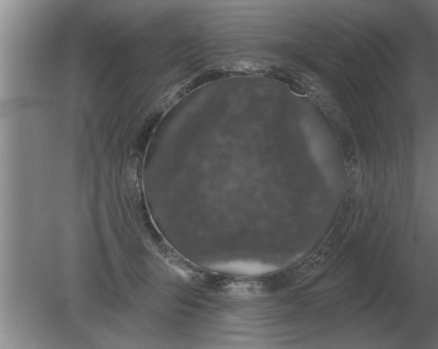 X0000080180415200612302250