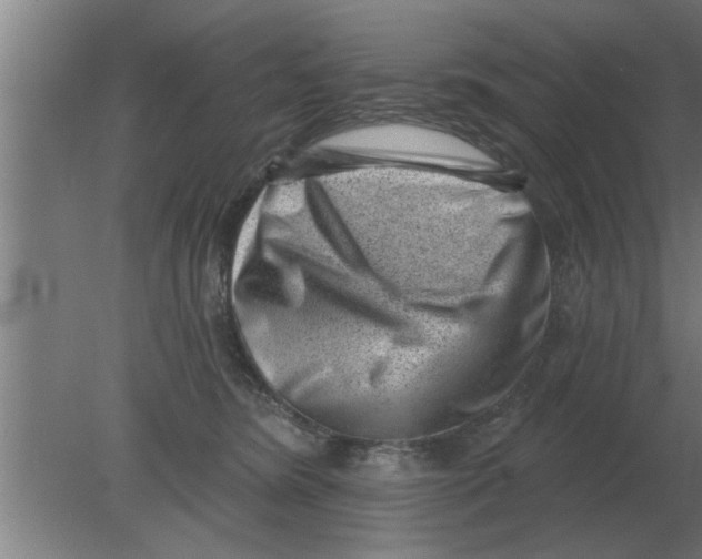 X0000080180420200612302250