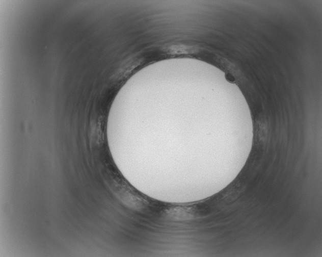 X0000080180422200612302250