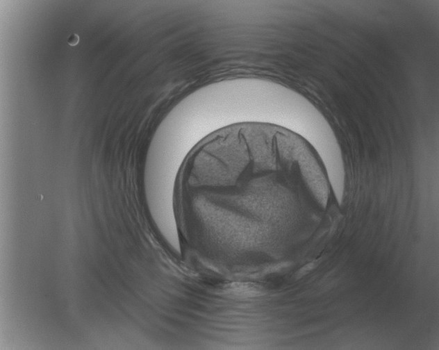 X0000080180423200612302250