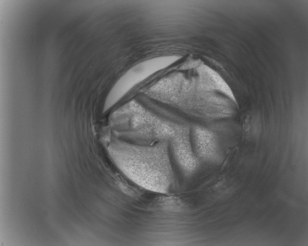 X0000080180424200612302250