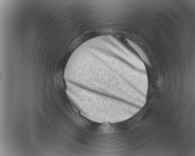 X0000080180425200612302250