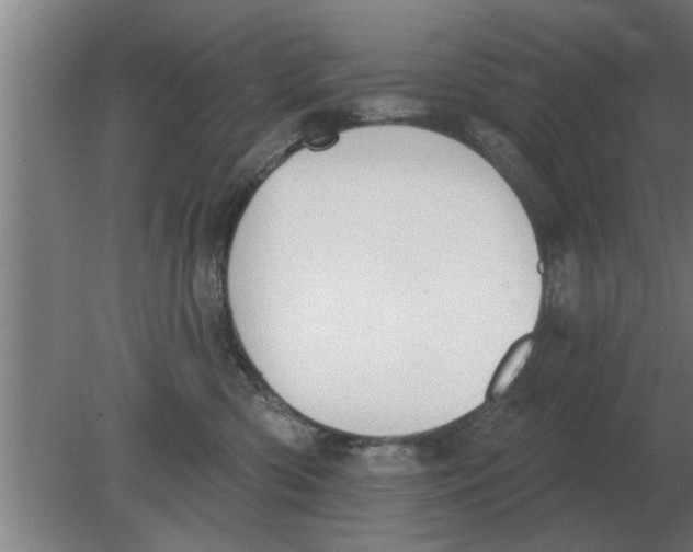 X0000080180426200612302250