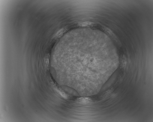 X0000080180427200612302250