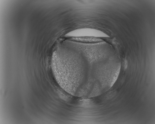 X0000080180428200612302250