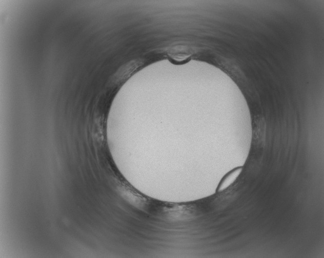 X0000080180430200612302250