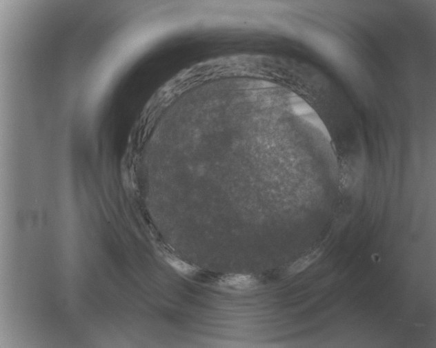 X0000080180431200612302250