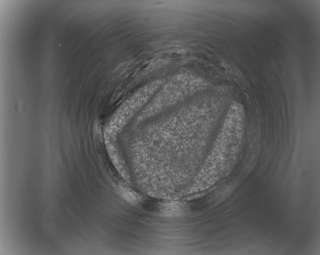 X0000080180432200612302250