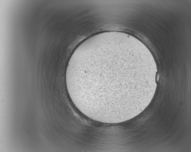 X0000080180433200612302249