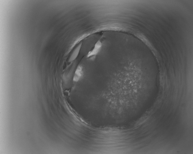 X0000080180434200612302249