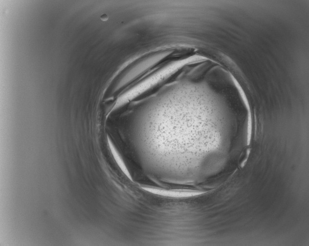 X0000080180435200612302249