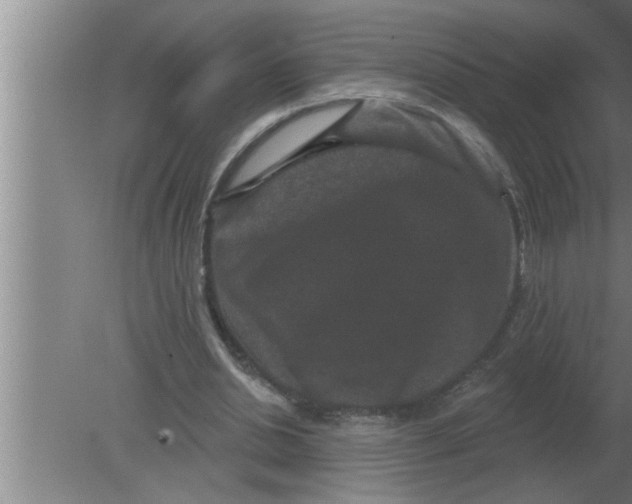 X0000080180438200612302249