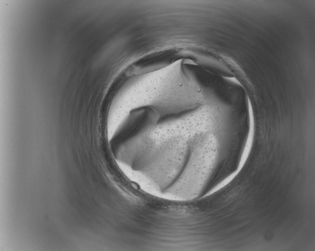 X0000080180439200612302249