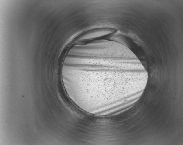 X0000080180440200612302249