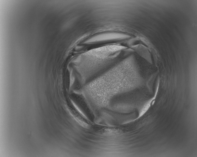 X0000080180442200612302249