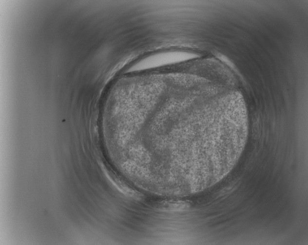 X0000080180443200612302249