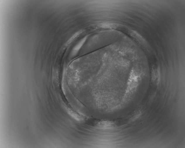 X0000080180444200612302249