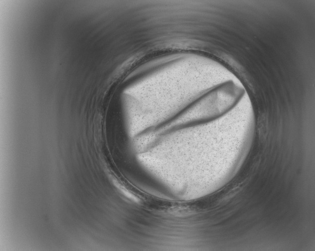 X0000080180445200612302249