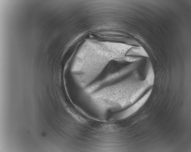 X0000080180446200612302249