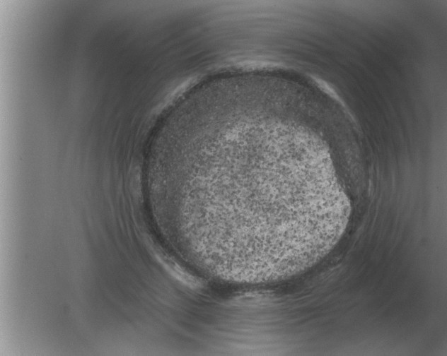 X0000080180447200612302249