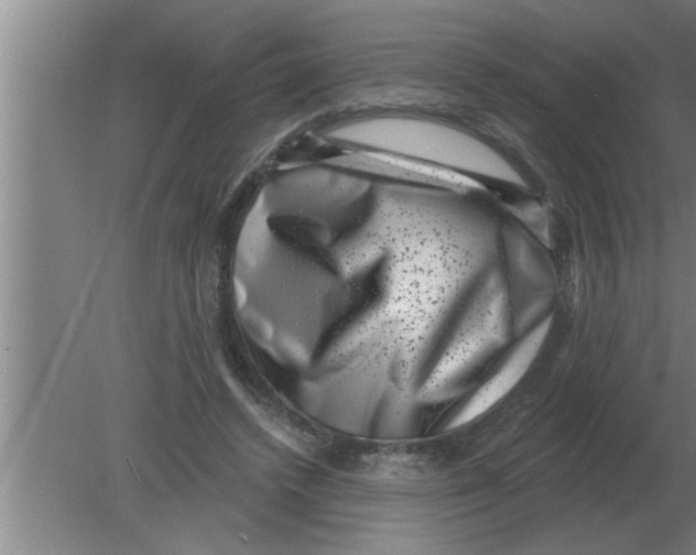 X0000080180448200612302249