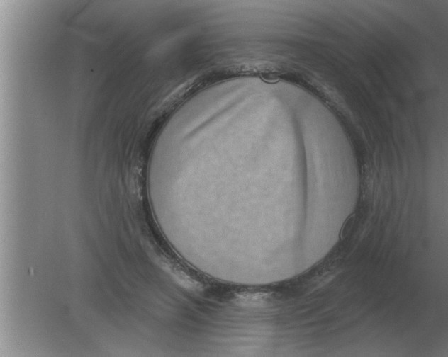 X0000080180450200612302249