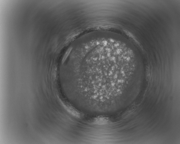 X0000080180451200612302249