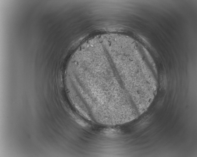 X0000080180453200612302249