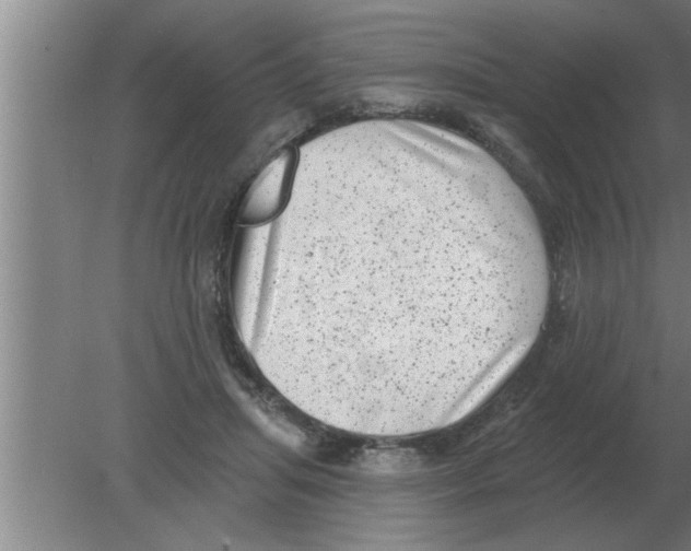 X0000080180455200612302249