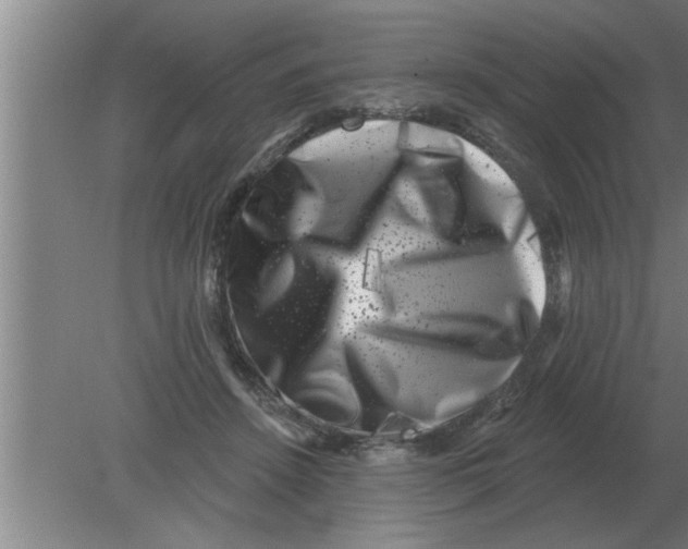 X0000080180456200612302249