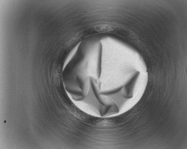 X0000080180460200612302249