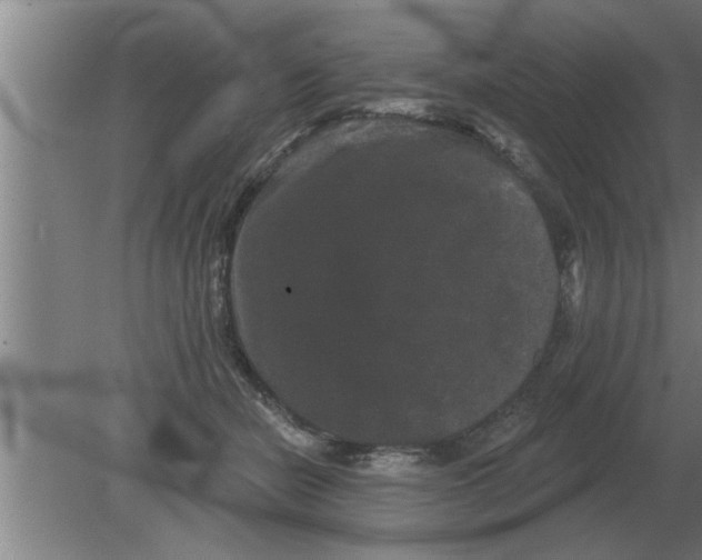 X0000080180462200612302249