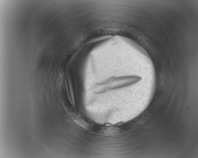 X0000080180463200612302249