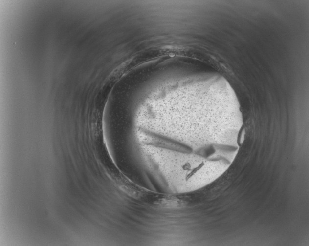 X0000080180464200612302249