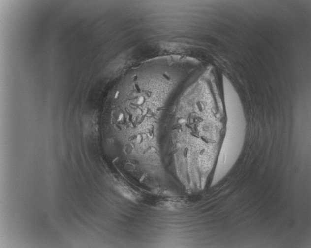 X0000080180466200612302249