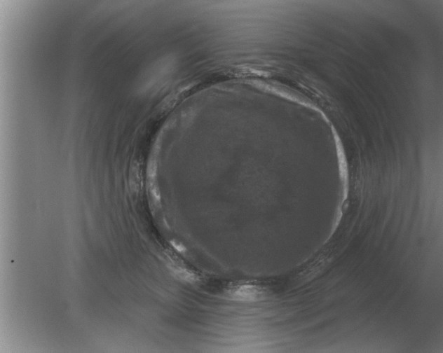 X0000080180467200612302250