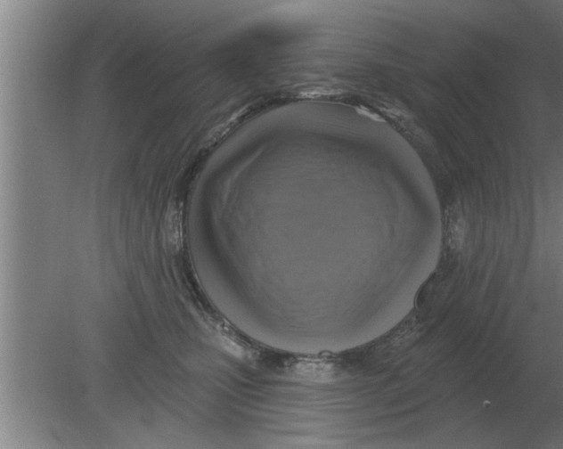 X0000080180471200612302250