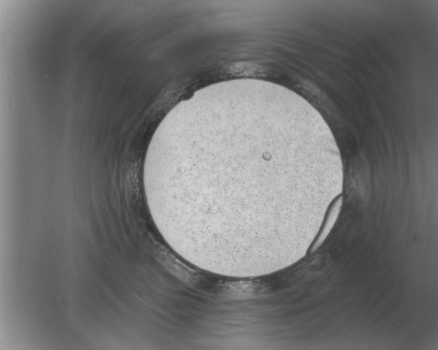 X0000080180473200612302250