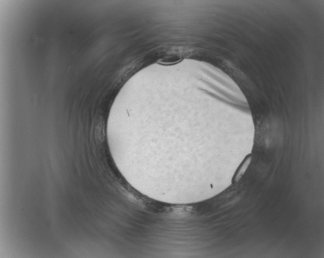 X0000080180474200612302250