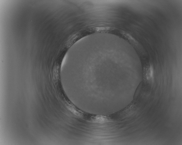 X0000080180475200612302250