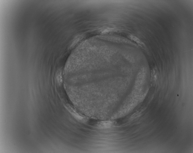 X0000080180479200612302250